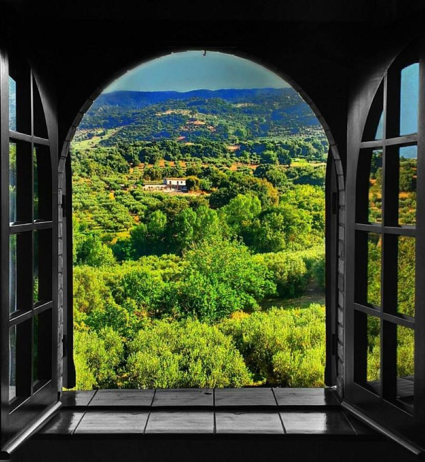 Villa Amalia Srls Gizzeria Exterior foto